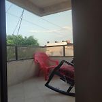 Gaviotas 41